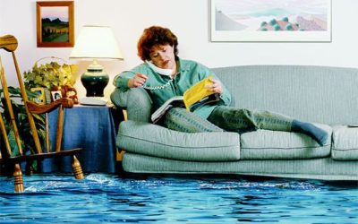 The Challenge of Mold Removal: Essential Strategies for a Healthier Home