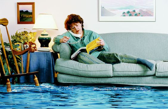 The Challenge of Mold Removal: Essential Strategies for a Healthier Home