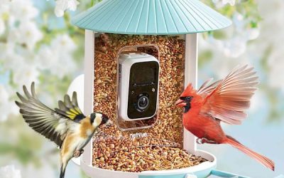 How to Keep Your Mealworms Happy and Healthy: A Tutorial on Storage and Care