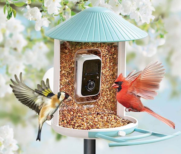 How to Keep Your Mealworms Happy and Healthy: A Tutorial on Storage and Care